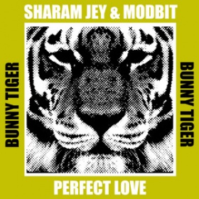SHARAM JEY & MODBIT - PERFECT LOVE